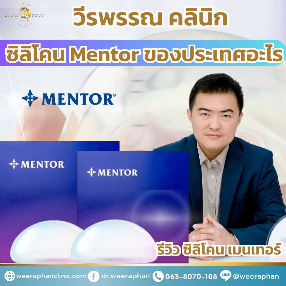 ซิลิโคน Mentor ของประเทศอะไร