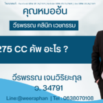 275 CC คัพ อะไร